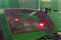 9-25-Guerilla_Swiss1.jpg